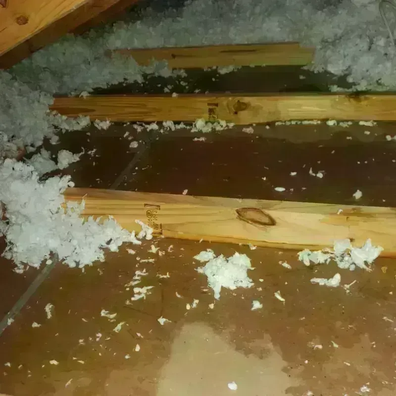 Attic Water Damage in Port Orford, OR